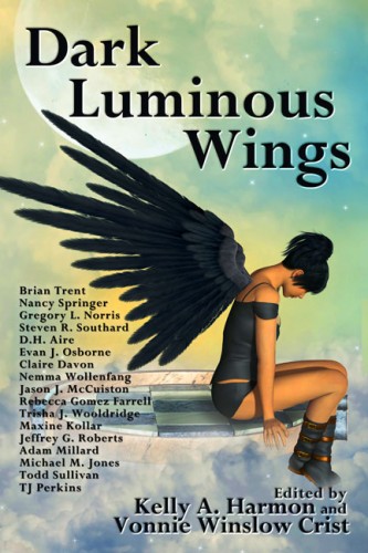 dark luminous wings rebecca gomez farrell