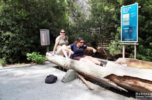 Sharing a canoe with Ellen.